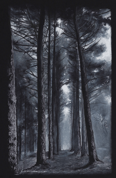 Misty Forest | print