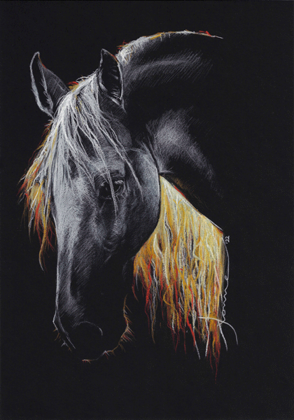 Wit paard | print