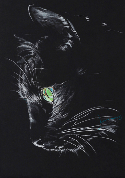 Zwarte kat met groene ogen |origineel